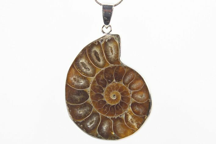 Fossil Ammonite Pendant - Million Years Old #306409